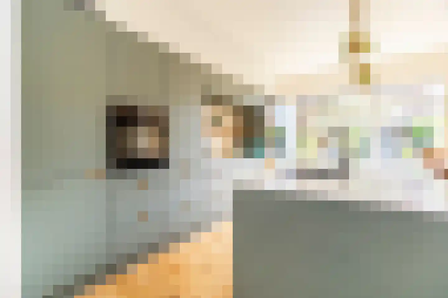 Johannes Bildersstraat 17 Den Haag thumbnail 14