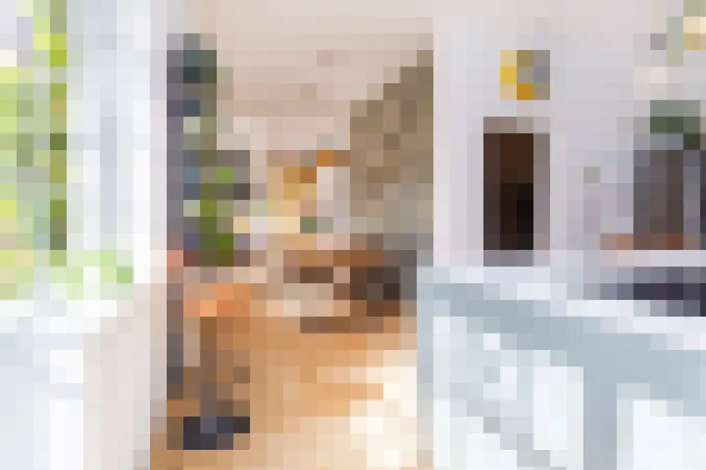 Johannes Bildersstraat 17 Den Haag thumbnail 17