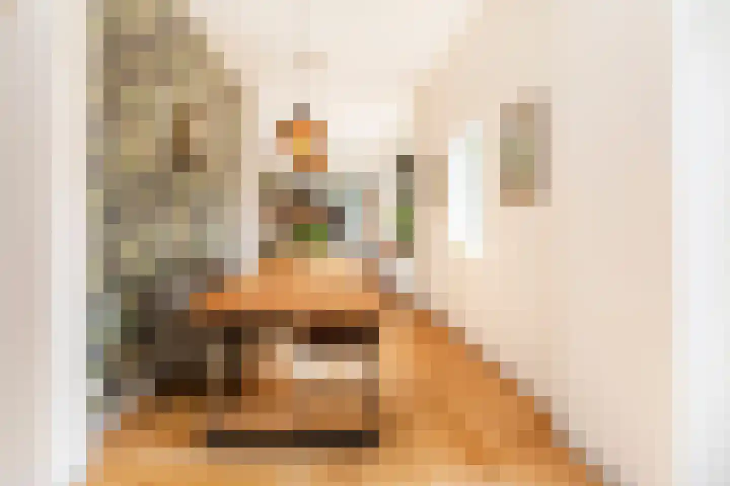 Johannes Bildersstraat 17 Den Haag thumbnail 18