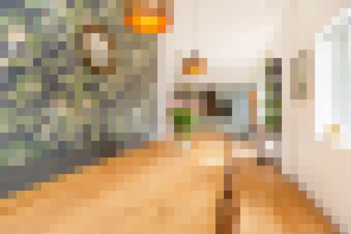 Johannes Bildersstraat 17 Den Haag thumbnail 19