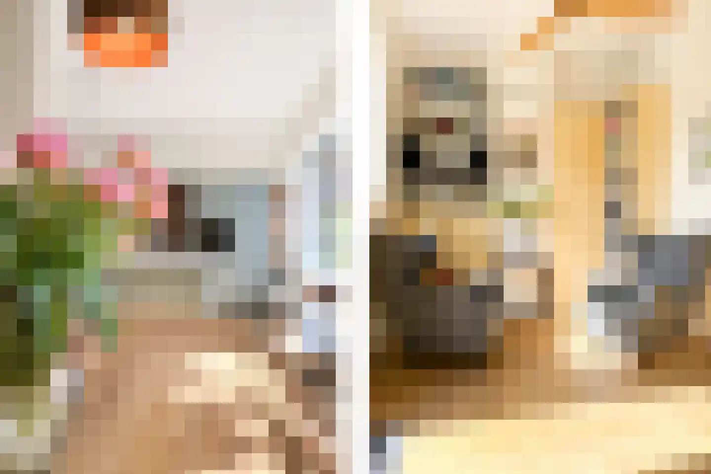 Johannes Bildersstraat 17 Den Haag thumbnail 21
