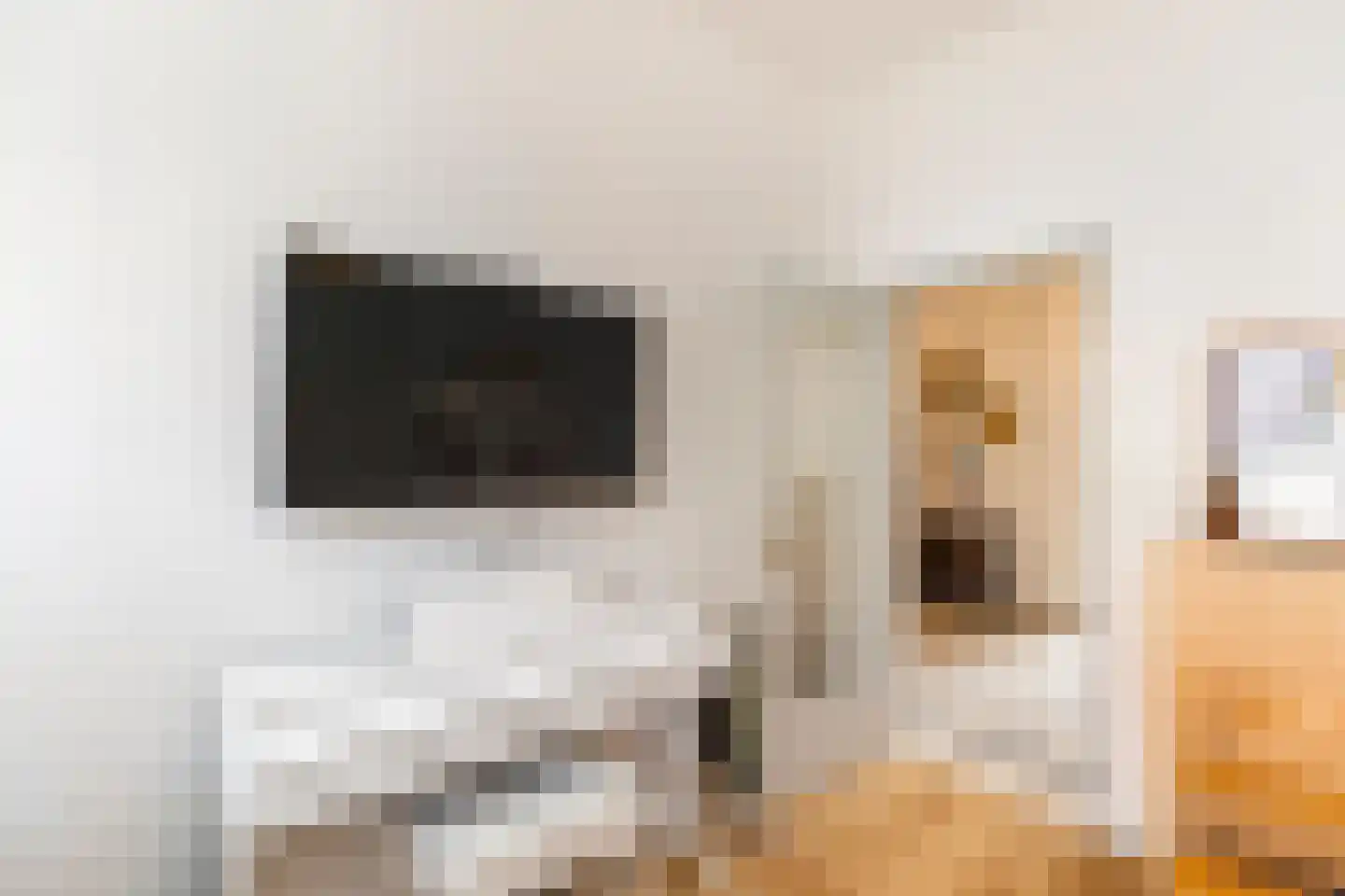 Johannes Bildersstraat 17 Den Haag thumbnail 25
