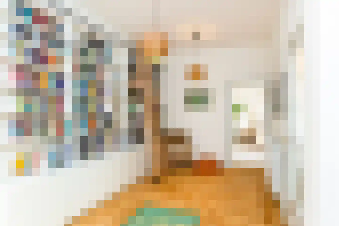 Johannes Bildersstraat 17 Den Haag thumbnail 29