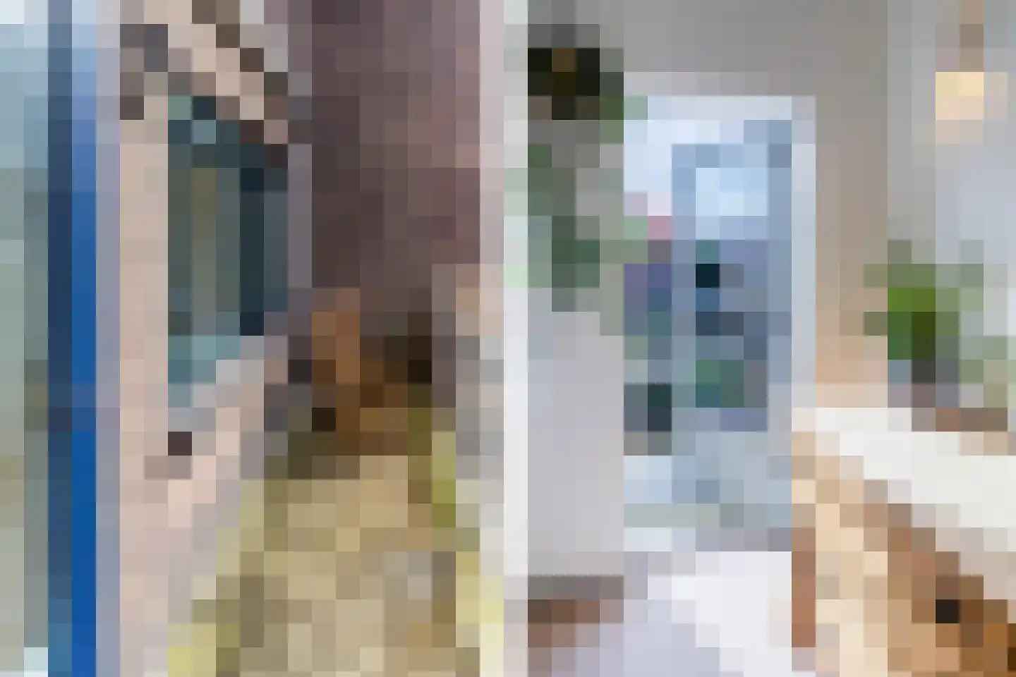 Johannes Bildersstraat 17 Den Haag thumbnail 33
