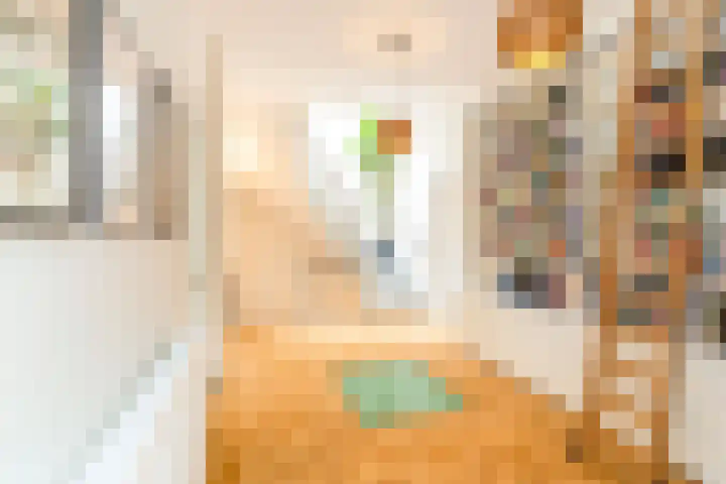 Johannes Bildersstraat 17 Den Haag thumbnail 48