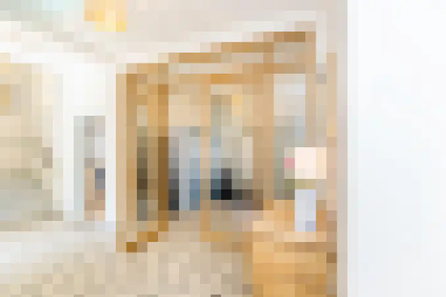 Johannes Bildersstraat 17 Den Haag thumbnail 7