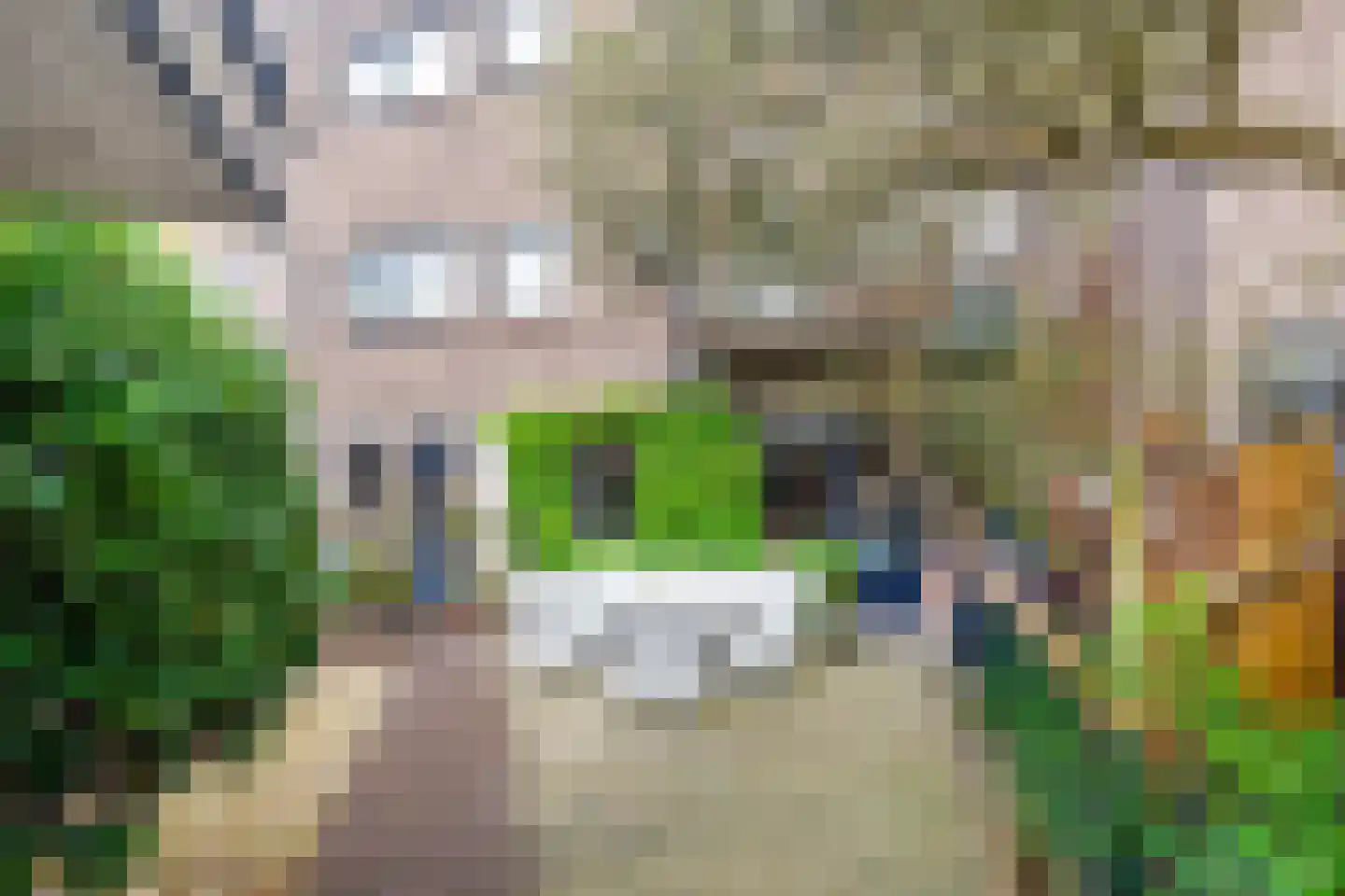 Johannes Bildersstraat 17 Den Haag thumbnail 70