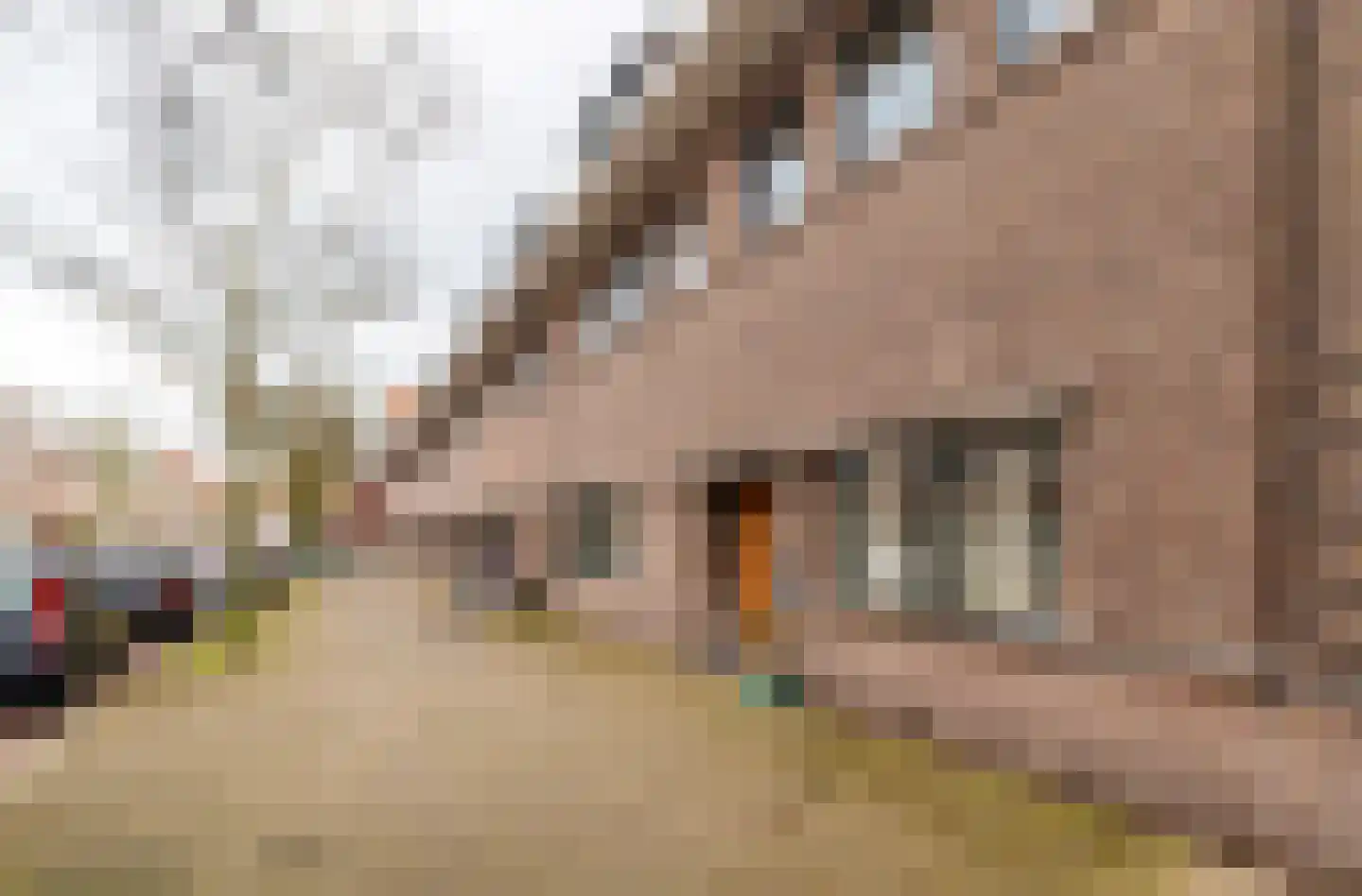 Johannes Bildersstraat 17 Den Haag thumbnail 71