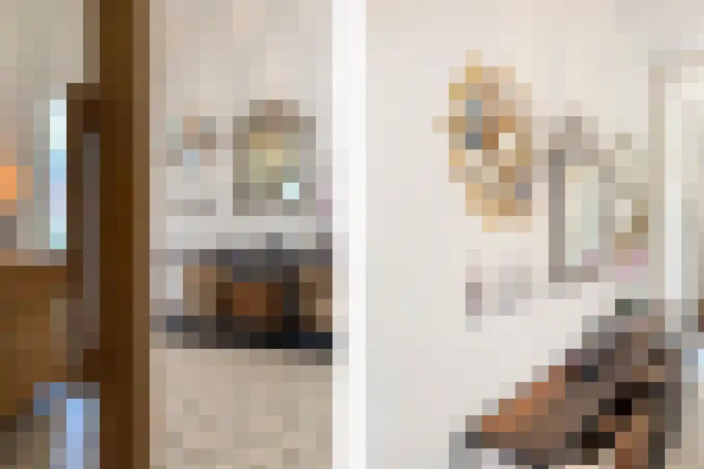 Johannes Bildersstraat 17 Den Haag thumbnail 9