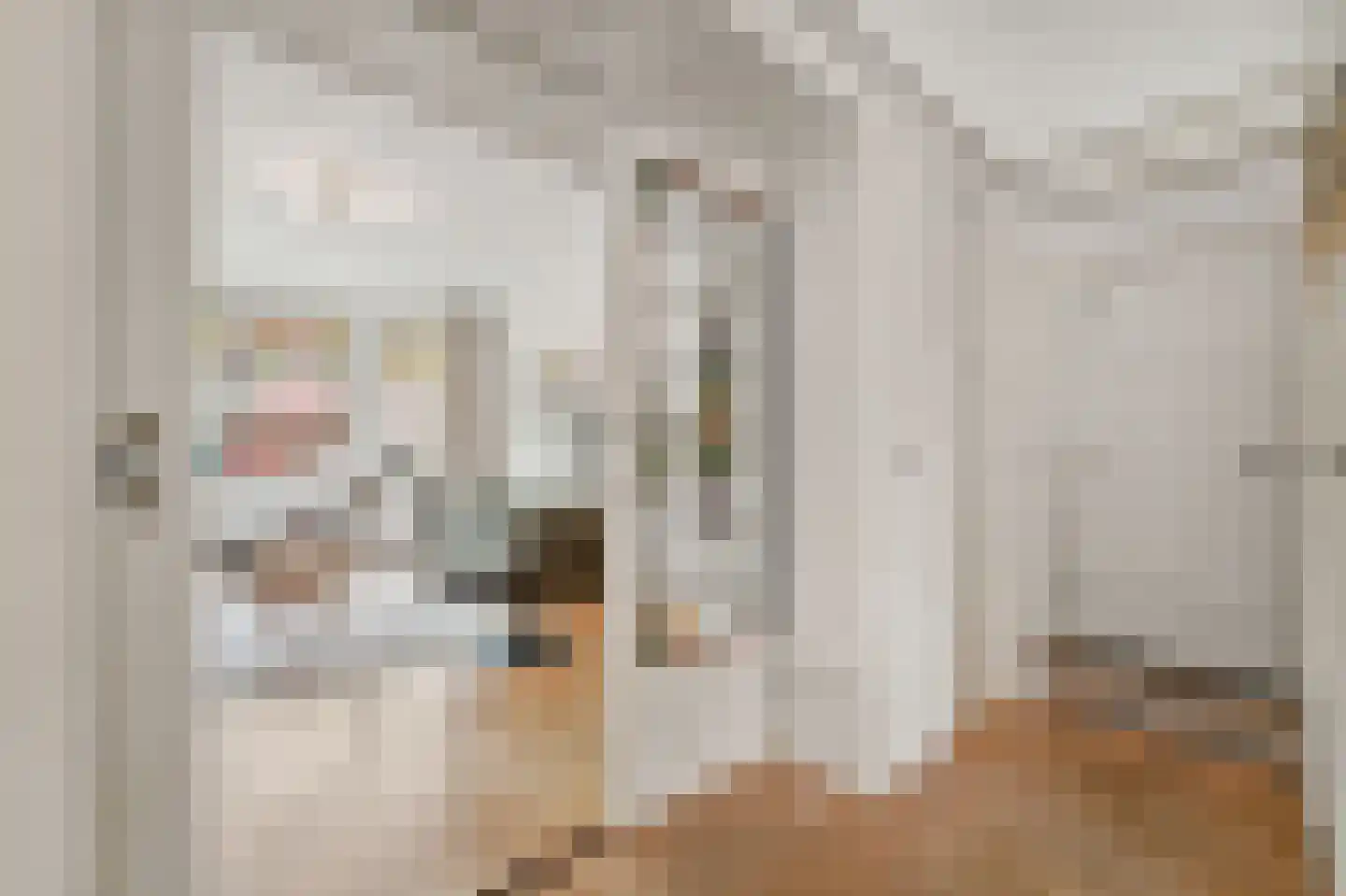Johannes Bildersstraat 55 Den Haag thumbnail 14