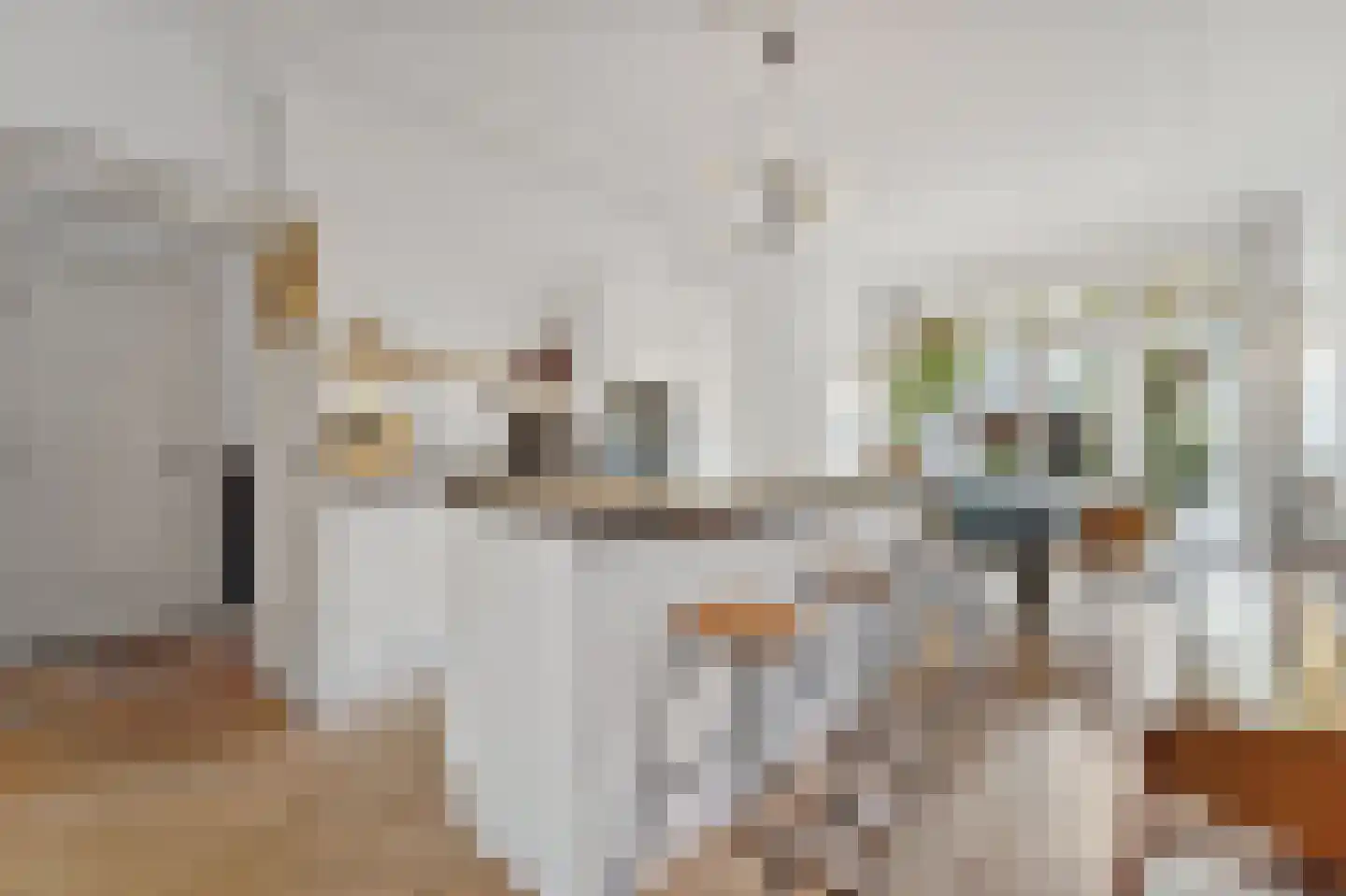 Johannes Bildersstraat 55 Den Haag thumbnail 4
