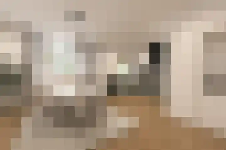 Johannes Bildersstraat 73 Den Haag thumbnail 17