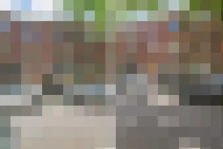 Johannes Bildersstraat 73 Den Haag thumbnail 4