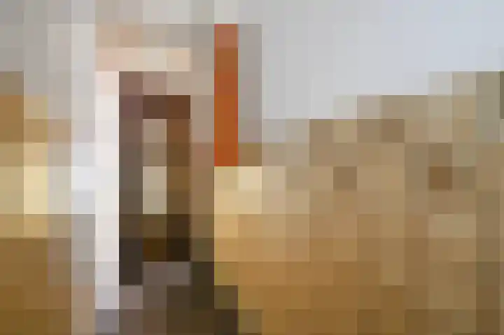 Johannes Bildersstraat 73 Den Haag thumbnail 6