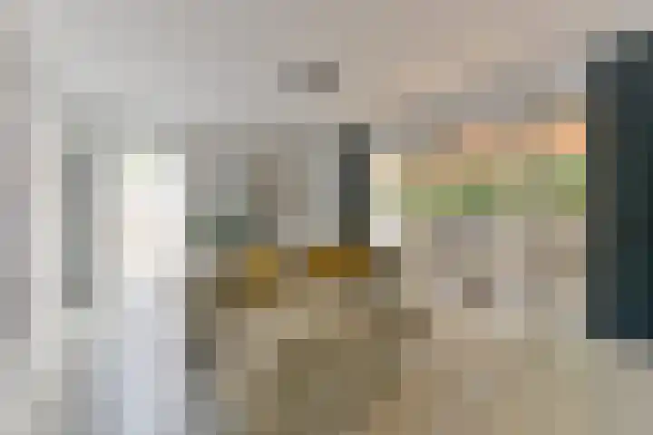Johannes Blaeustraat 5 IJsselstein thumbnail 21