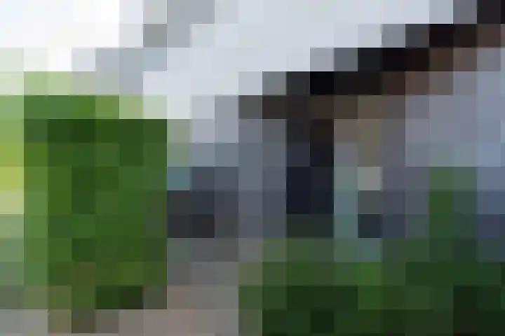 Johannes Blaeustraat 5 IJsselstein thumbnail 6