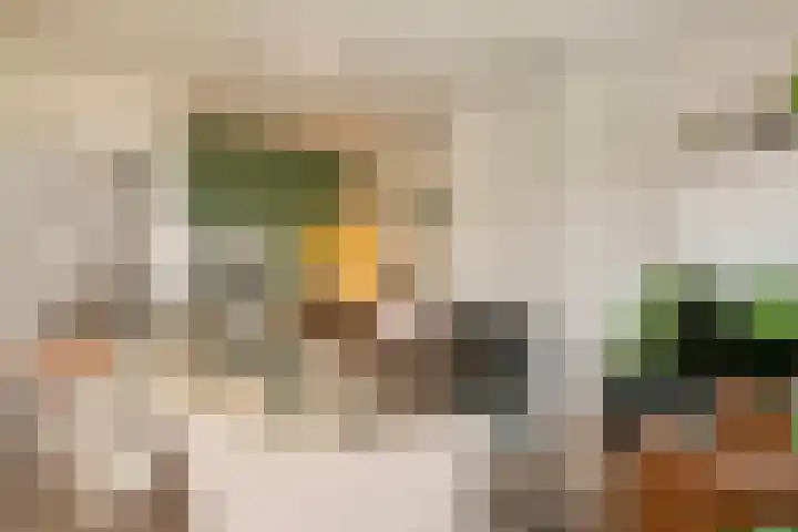 Johannes Bosboomlaan 24 Ede thumbnail 11