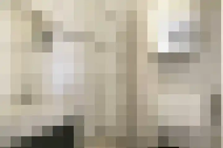 Johannes Bosboomlaan 24 Ede thumbnail 19