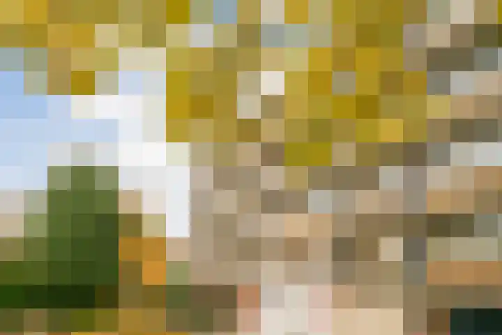 Johannes Bosboomlaan 24 Ede thumbnail 24