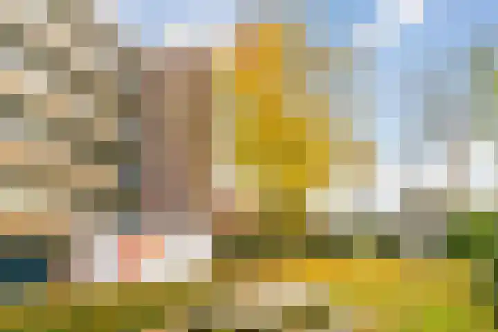 Johannes Bosboomlaan 24 Ede thumbnail 25