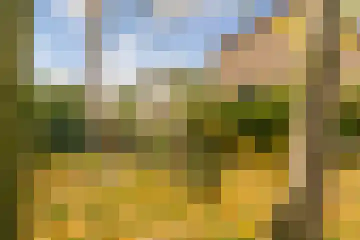 Johannes Bosboomlaan 24 Ede thumbnail 26