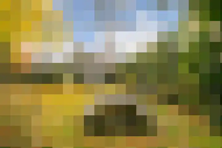 Johannes Bosboomlaan 24 Ede thumbnail 27