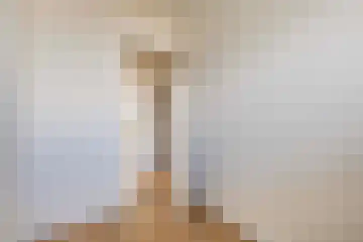 Johannes Bosboomlaan 40 Ede thumbnail 18