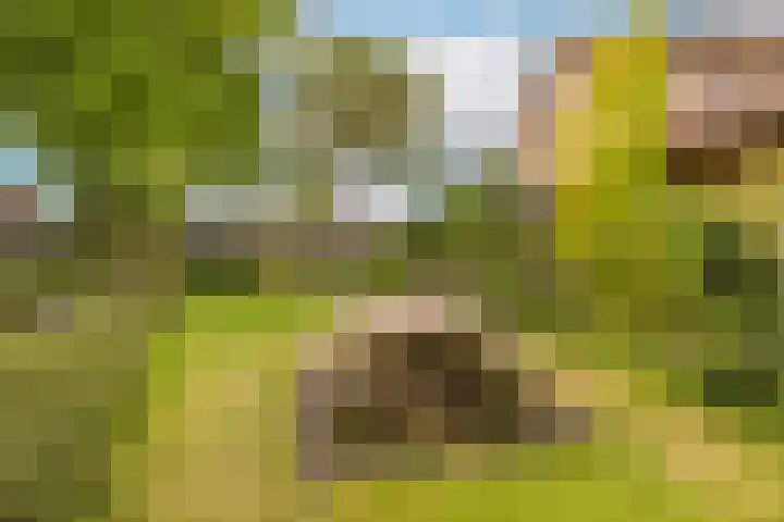 Johannes Bosboomlaan 40 Ede thumbnail 27