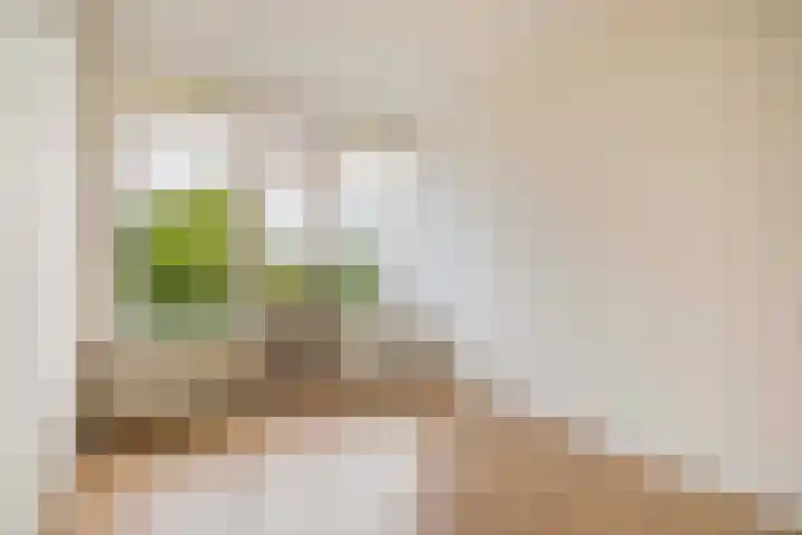 Johannes Bosboomlaan 40 Ede thumbnail 6