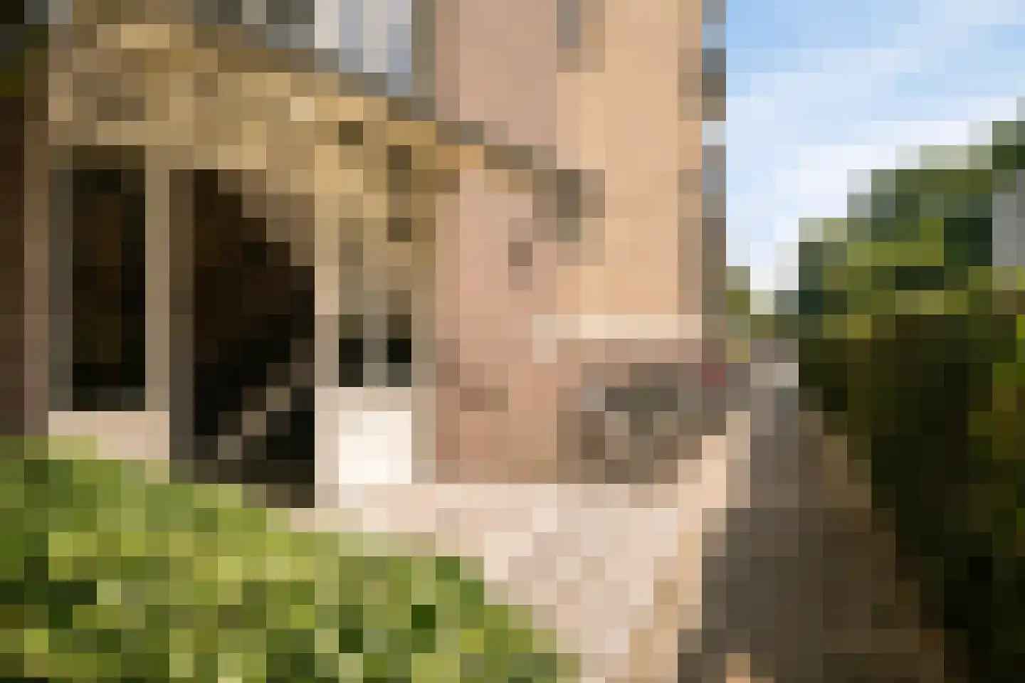 Johannes Bosboomlaan 42 Ede thumbnail 4