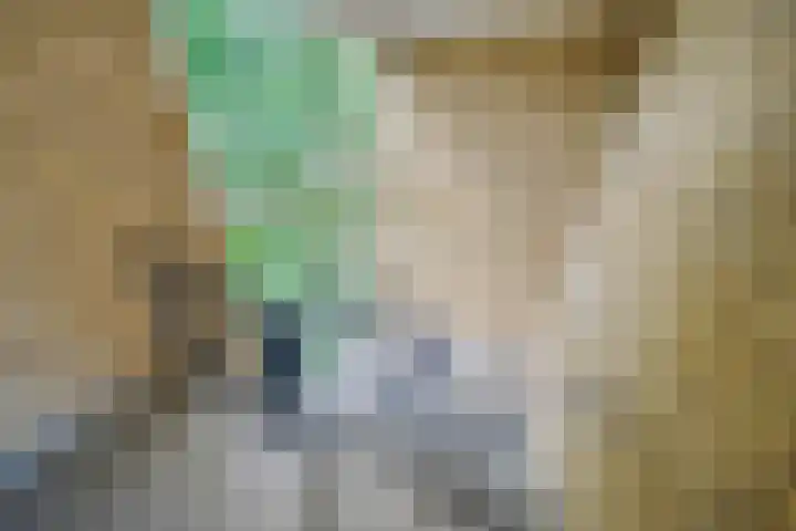 Johannes Bosboomlaan 44 Ede thumbnail 22