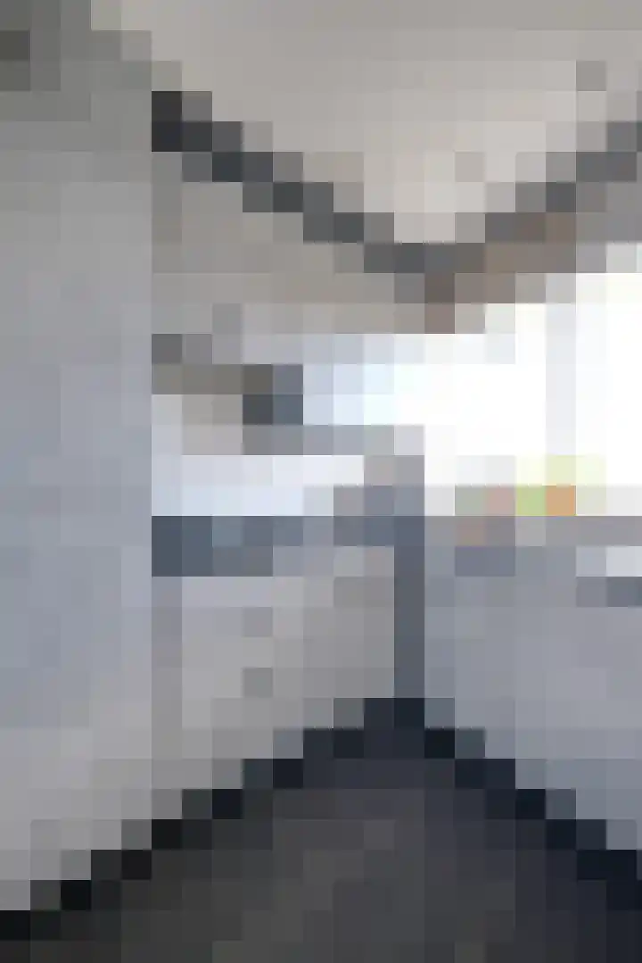 Johannes Bosboomlaan 44 Ede thumbnail 8