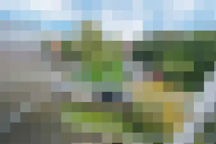 Johannes Bosboomlaan 46 Ede thumbnail 11