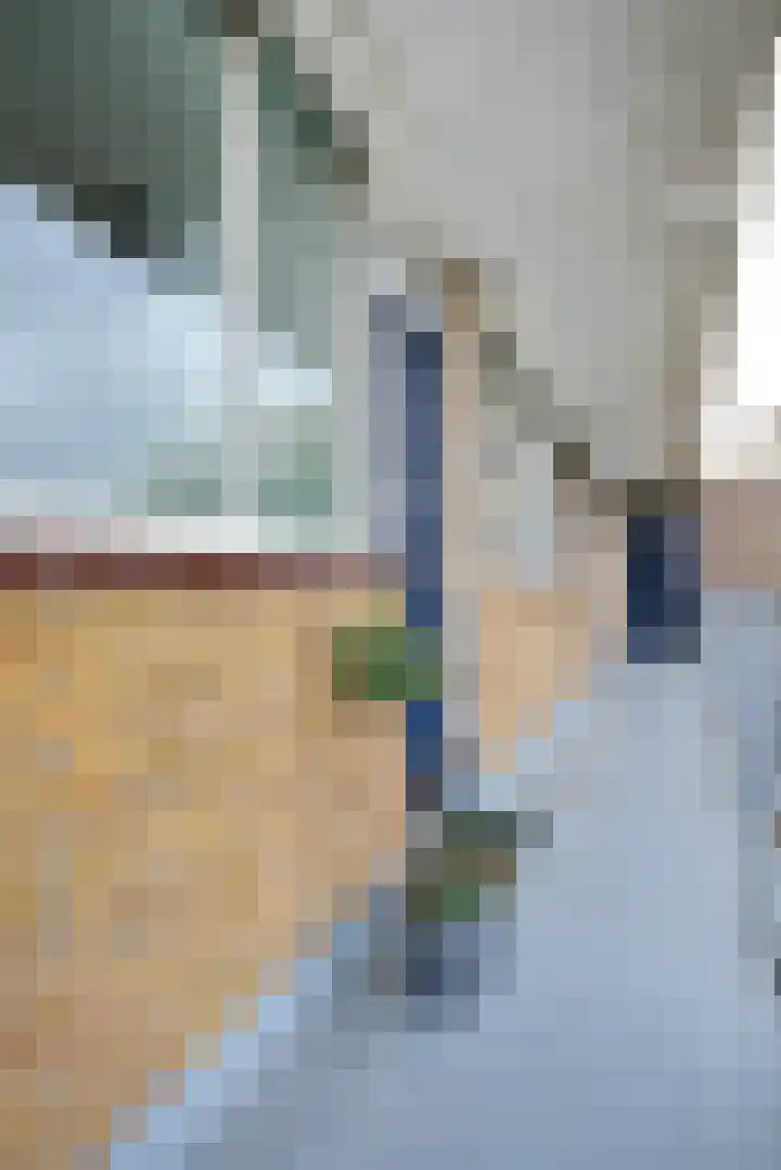 Johannes Bosboomlaan 46 Ede thumbnail 18