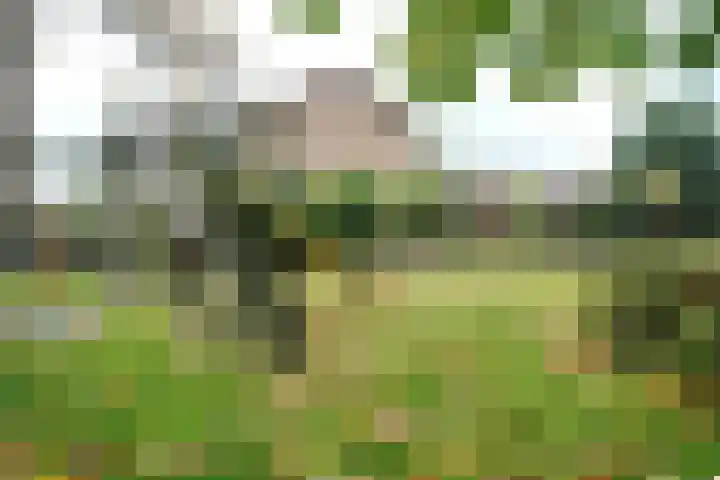 Johannes Bosboomlaan 46 Ede thumbnail 21