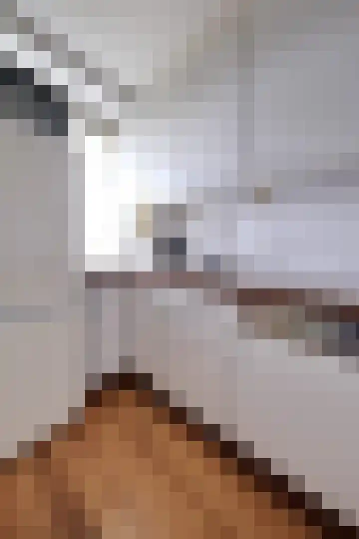 Johannes Bosboomlaan 46 Ede thumbnail 6