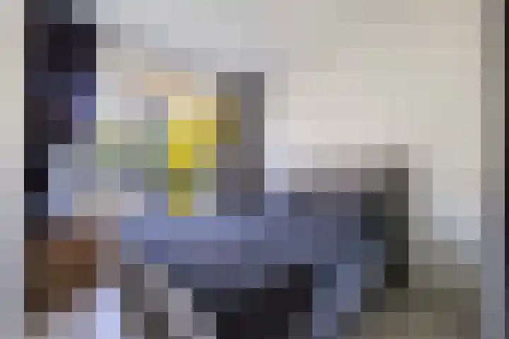 Johannes Bosboomlaan 8 Ede thumbnail 19