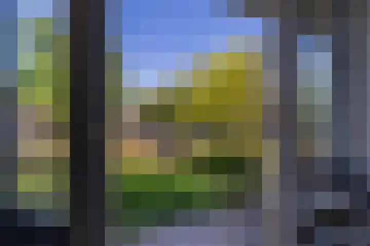 Johannes Bosboomlaan 8 Ede thumbnail 21