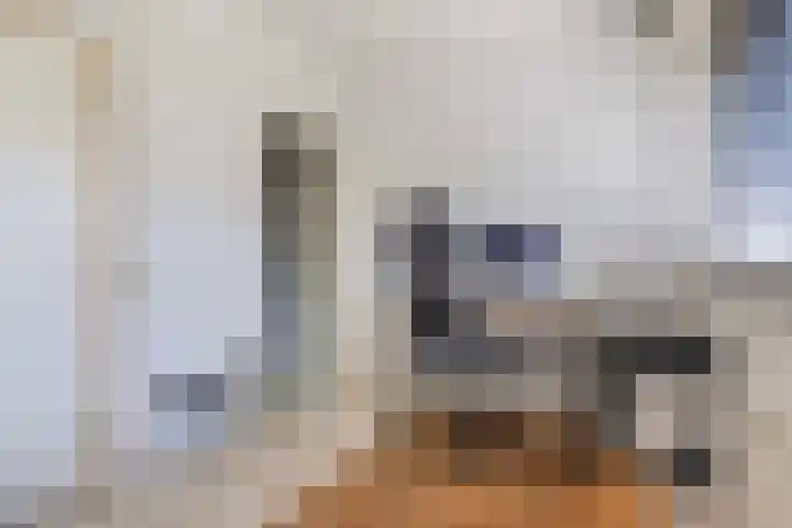 Johannes Bosboomlaan 8 Ede thumbnail 25