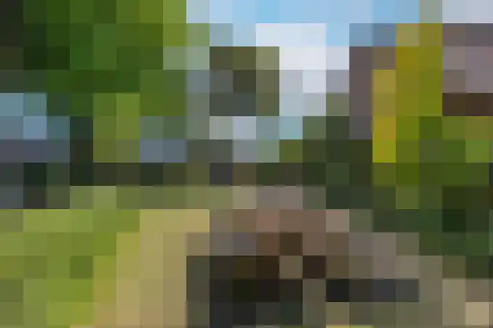 Johannes Bosboomlaan 8 Ede thumbnail 26
