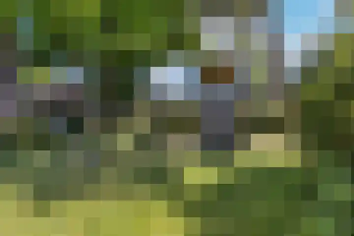 Johannes Bosboomlaan 8 Ede thumbnail 27