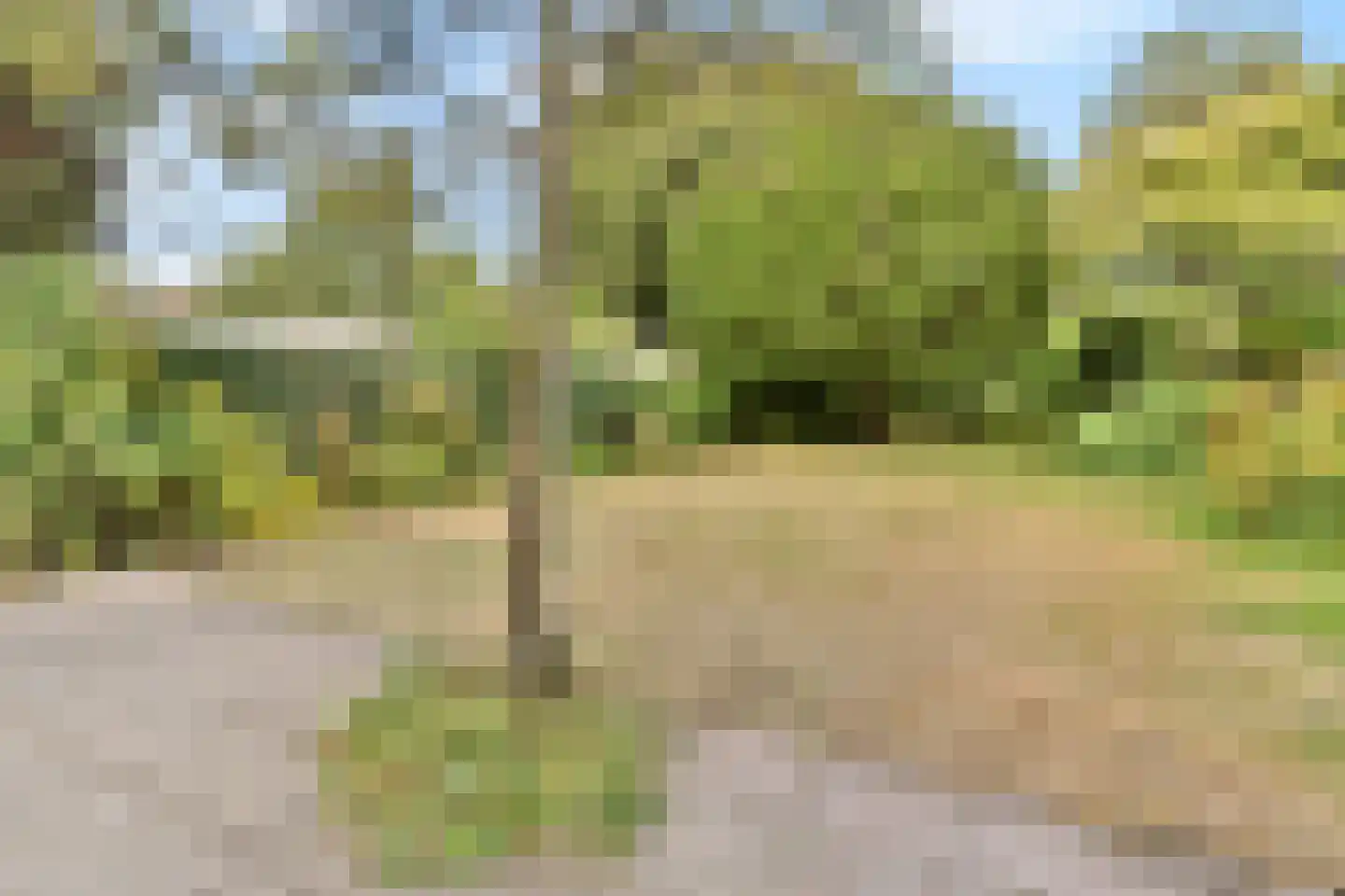 Johannes Bosboomlaan 8 Heemstede thumbnail 14