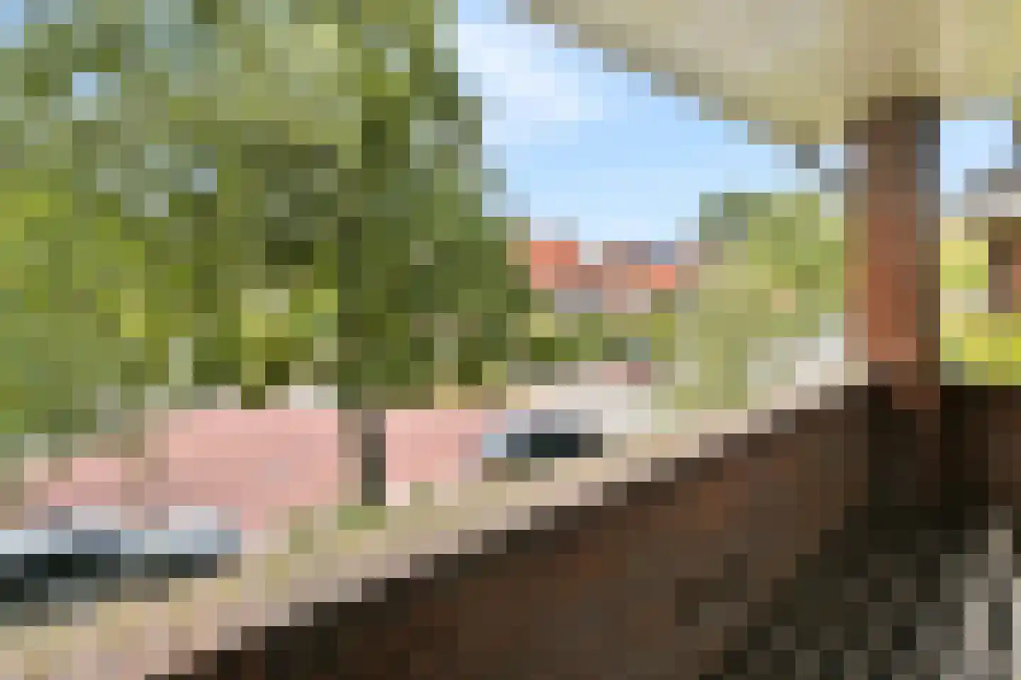 Johannes Bosboomlaan 8 Heemstede thumbnail 22
