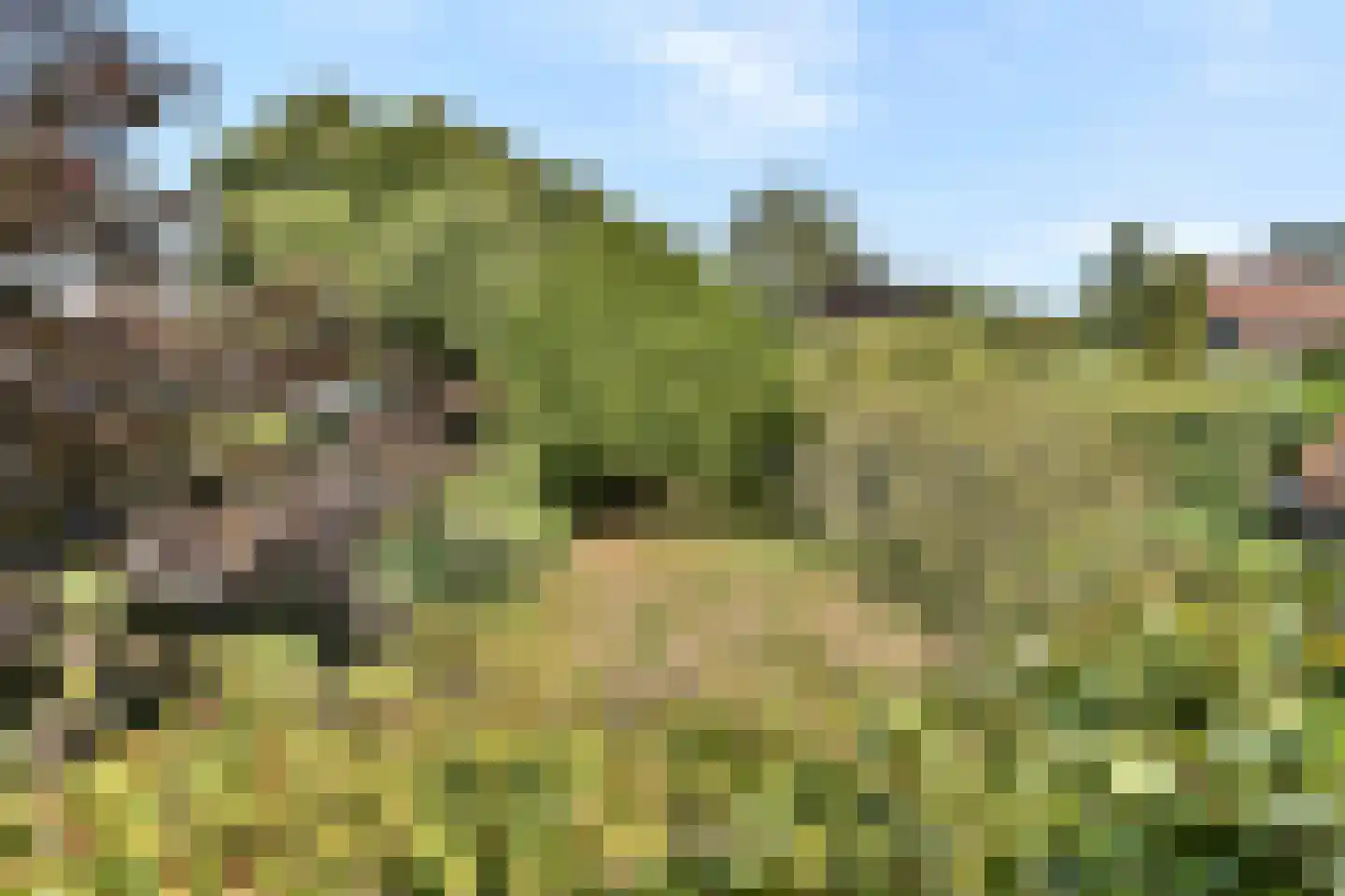 Johannes Bosboomlaan 8 Heemstede thumbnail 27