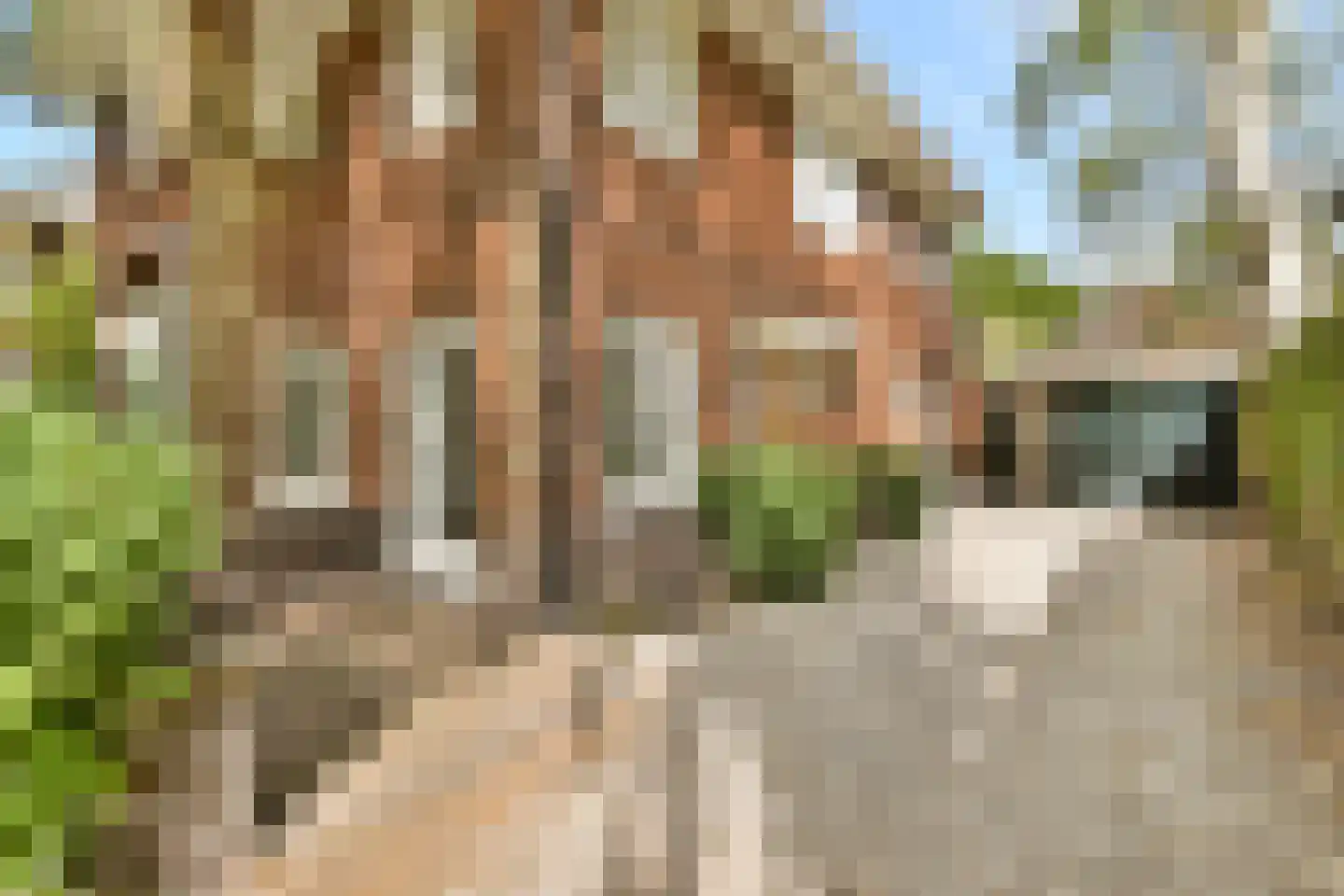 Johannes Bosboomlaan 8 Heemstede thumbnail 5