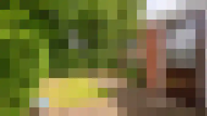 Johannes Bosboomstraat 18 Almelo thumbnail 25