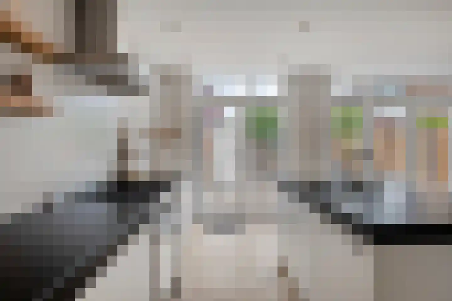 Johannes Bosboomstraat 18 Woerden thumbnail 15