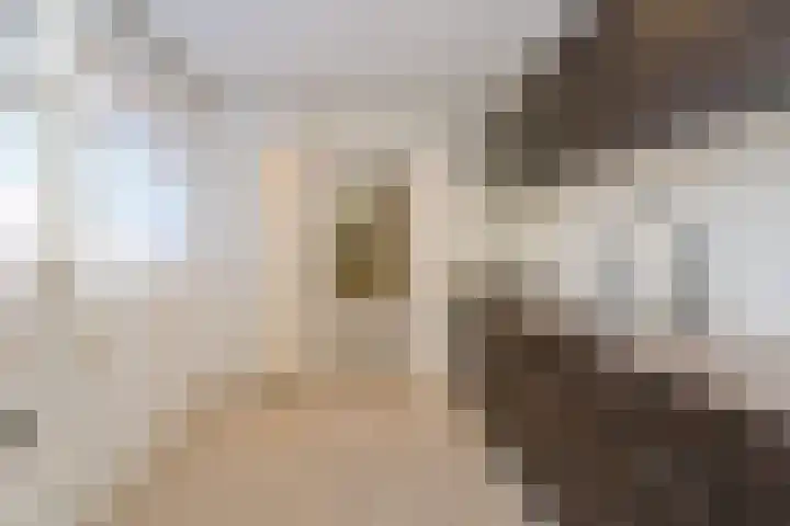 Johannes Bosboomstraat 20 Almelo thumbnail 11