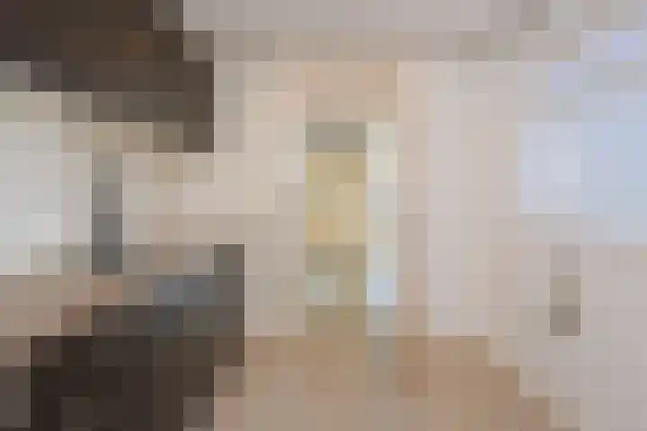 Johannes Bosboomstraat 20 Almelo thumbnail 12