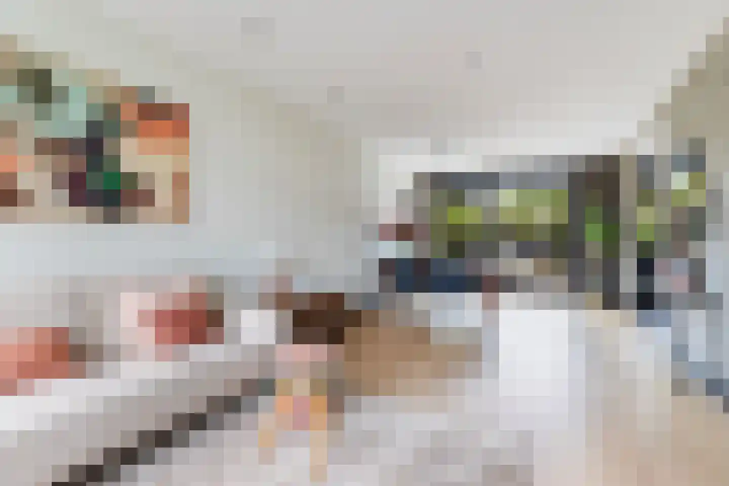 Johannes Bosboomstraat 25 Woerden thumbnail 12